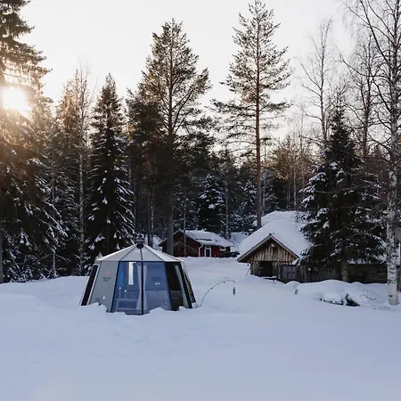 Ollero Eco Rovaniemi