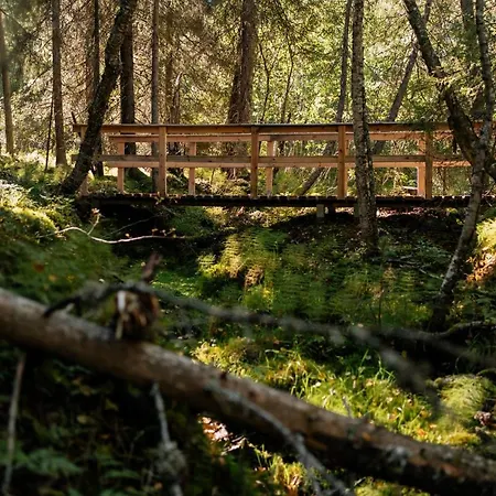 Hébergement de vacances Ollero Eco