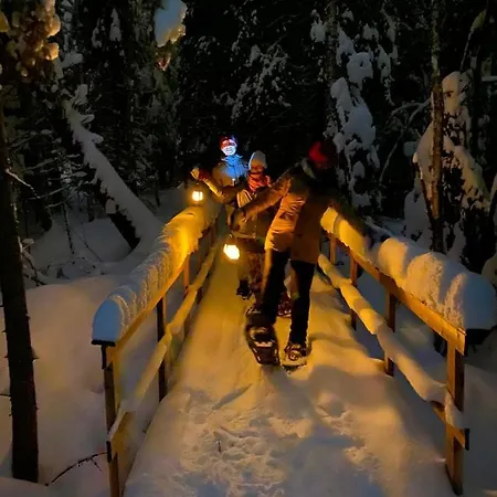 Ollero Eco * Rovaniemi