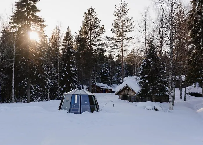 Ollero Eco Rovaniemi